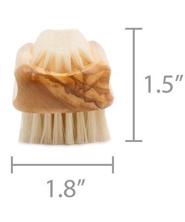 Premium Boar Bristle Nail Brush | Olive Wood Handle | Made in Germany - Buy Online on SooperMarket.com
