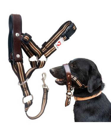 Alpha Boy dog training collar comfortable and gentle dog half for all breeds easy-to-use dog handlebars real leather strap one-piece dog-pulling harness with quick lock buckle (XXL)