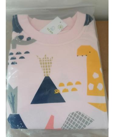Girls Dinosaur Sweatshirt - Cotton Casual Jumper, Toddler Long Sleeve Pullover | Age 5-6 Years - Buy Online on SooperMarket.com