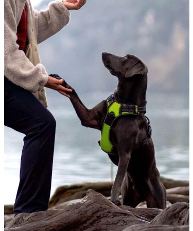 Joytale Reflective Dog Harness for Small Dogs - Adjustable Soft Padded Breathable with Control Handle - Green (1 Pack) - Buy Online on SooperMarket.com