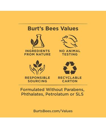 Burt's Bees Coconut & Pear Lip Balm - 100% Natural Moisturizing Formula (4 Tubes) - Buy Online on SooperMarket.com