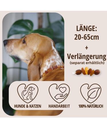 PetLove 100% Baltic Amber Necklace for Dogs & Cats - 55cm Dog Collar | Natural Healing Benefits - Buy Online on SooperMarket.com