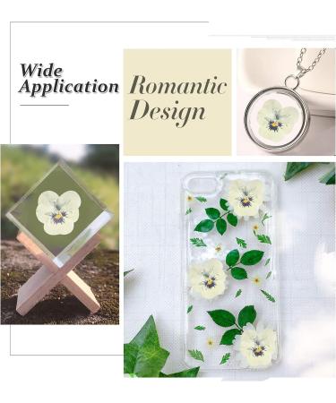 Dried White Pansy Flowers - 60 pcs for Resin Art, Jewelry, Candle Making & Crafts - Buy Online on SooperMarket.com