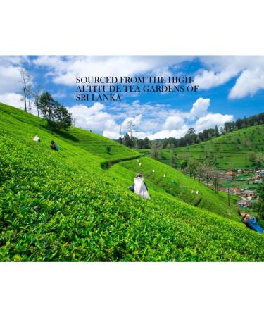 Ceylon Green Tea Gun Powder GP1 - High Grown Loose Leaf with Mellow & Smoky Taste | 100g Loose Tea - Buy Online on SooperMarket.com