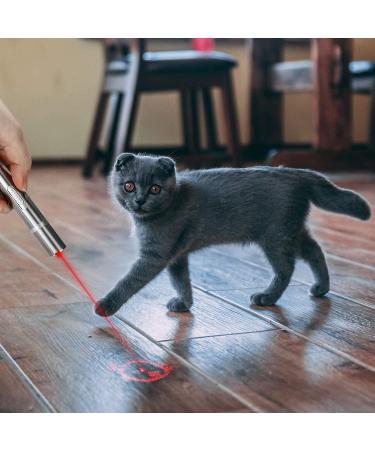 Toozey Cat Toys LED Light Pointer Interactive Chase Cat Dog Toys Cat Interactive Toys Wand 7 in 1 Function Cat Chaser Toys USB Rechargeable Bonus Two little mice toys - Buy Online on SooperMarket.com