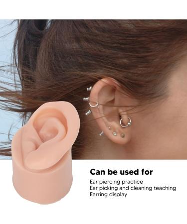 Display Ear Model Reusable Simulated Silicone Practice Ear Model Portable Elastic for Jewelry Store for Beginner(Right) - Buy Online on SooperMarket.com