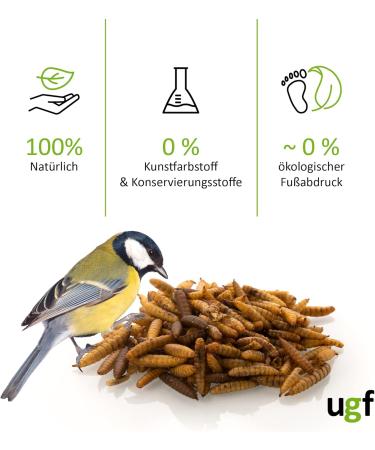 UGF Soldier Fly Larvae (500g) - Superior to Dried Mealworms - 85x Calcium - Ideal Treats for Birds Turtles Rodents & More - Buy Online on SooperMarket.com