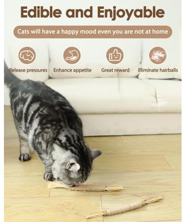 Nepfaivy Cat Toys for Indoor Cats - Silvervine Stick Cat Chew Toy 6 PCS Cat Nip Toy for Teeth Cleaning Natural Dental Catnip Sticks for Kittens - Buy Online on SooperMarket.com