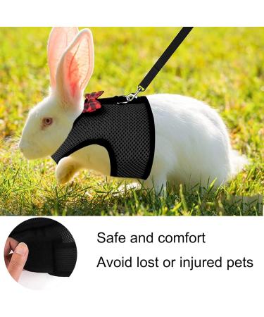 2-Pack Adjustable Pet Dishes & Leash for Rabbits Squirrels Bunnies Ferrets & Chinchillas - Ideal for International Shipping - Buy Online on SooperMarket.com