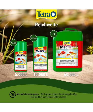 Tetra Pond Medifin 3L - Advanced Medication for Pond Fish Disease Prevention & Disinfection | International Shipping - Buy Online on SooperMarket.com