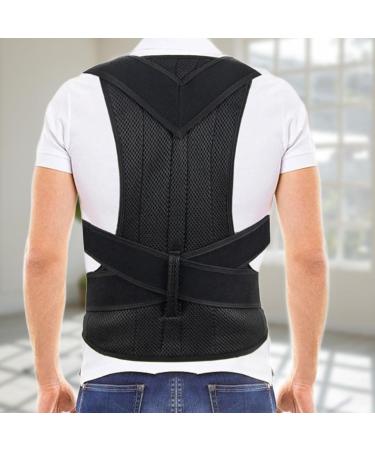 Oshhni Back Brace Lumbar Support Back Correction Belt for Family Adults Teens Women Men L - Buy Online on SooperMarket.com