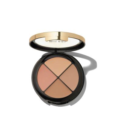 Conceal + Perfect All-in-One Palette - Medium to Dark | 1 Count - Buy Online on SooperMarket.com