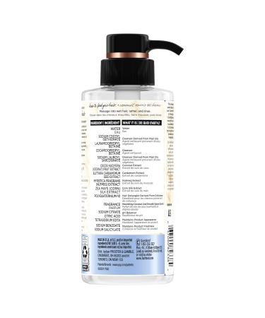 Hair Food Shampoo - Coconut Milk And Chai Spice - Avocado & Argan Oil -10.1 Oz - Buy Online on SooperMarket.com