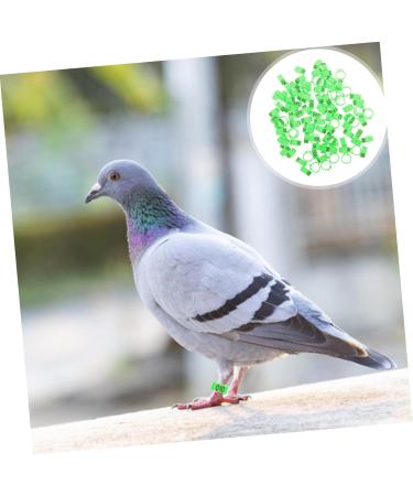 Kisangel 300 Pcs Pigeon Anklet Tag Where Pigeon Identification Ring Pigeons Leg Ring Baby Chicken 1.3X1.3CMx3pcs Greenx3pcs - Buy Online on SooperMarket.com