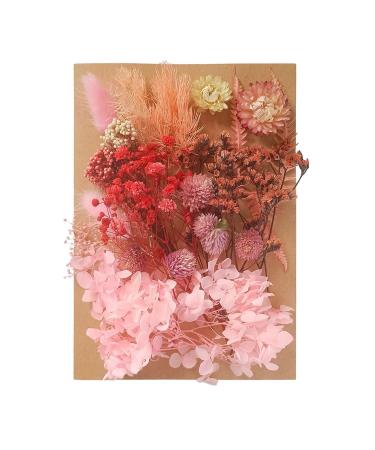 Lyra s Natural Pressed Flowers Multiple Colorful Real Dried Flowers Decorative for Art Crafts DIY Dry Flat Flowers Leaves for Resin Molds  Soap Candle Scrapbooking(Pink)