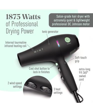Professional Series Blackbird Infrared Ionic Hair Dryer | MINT 1875W Lightweight & Quiet Blow Dryer with Diffuser | Ceramic Tourmaline Salon-Grade Performance - Buy Online on SooperMarket.com