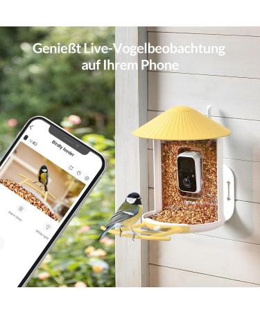 Birdfy Bird Feeder with Camera - AI Detection Video Recording & Solar Powered - Ideal for Wild Bird Feeding - Buy Online on SooperMarket.com