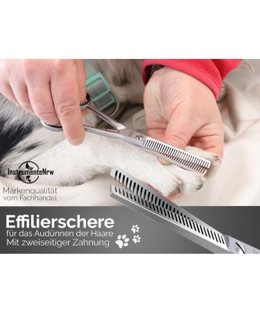 Premium Solingen Effilier Scissors for Dogs & Cats - Thinning Fur Scissors Made in Germany | 15.24 cm Sharp Cut - Buy Online on SooperMarket.com