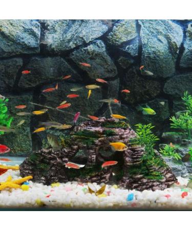 Buy Ctpeng Aquarium Cave Decoration for Betta & Cichlids - Slate Scape Ornament (23cm x 10.5cm x 7.2cm) | International Shipping Available - Buy Online on SooperMarket.com