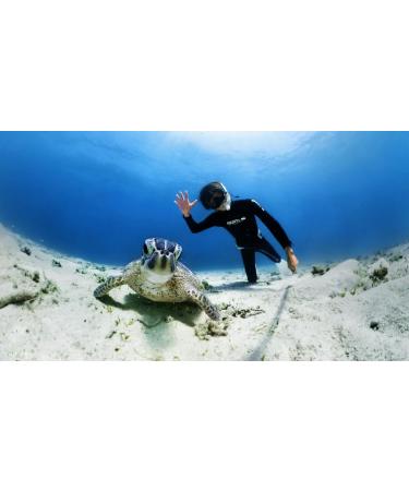 Buy Insta360 X3 Invisible Dive Case - Best Waterproof Accessory for Underwater Adventures | International Shipping Available - Buy Online on SooperMarket.com