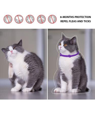 2 Pack Cat Flea Collar | 8 Months Protection | Repels Fleas & Ticks | Safe & Effective Prevention - Buy Online on SooperMarket.com