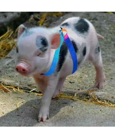 Buy Woyous Mini-Pig Crockery Set - Adjustable 2-Part Dishes for Small Pigs & Rabbits | Leash Included | Perfect for Walking & Jogging - Multi-Colored - Buy Online on SooperMarket.com