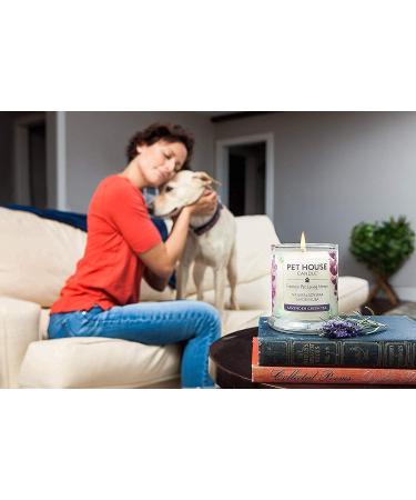 One for All Pet House Candle - Bamboo Watermint | Natural Soy Wax | 15 Scents for Animal Odor Removal - Buy Online on SooperMarket.com