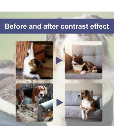LDREAMAM Anti-Scratch Spray for Cats & Dogs - Effective Scratch Protection & Defense Spray - 1PC - Buy Online on SooperMarket.com
