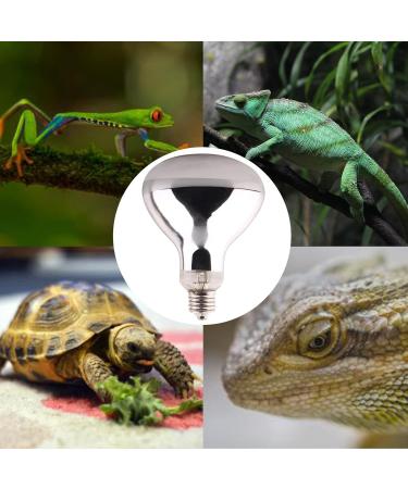 Buy Dernord 100W UV Heat Lamp for Turtles Geckos & Terrariums - Full Spectrum E27 Solar Spotlight - Buy Online on SooperMarket.com