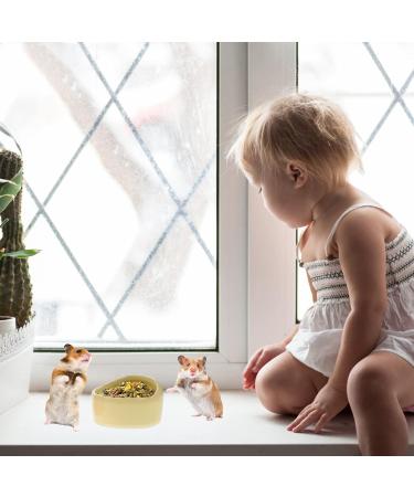 Balacoo Hamster Feeding Bowls- 3Pcs Pet Water Dispenser Ceramic Animal Dishes Food and Water Water Bowl for Mouse Dog (Random Color) - Buy Online on SooperMarket.com