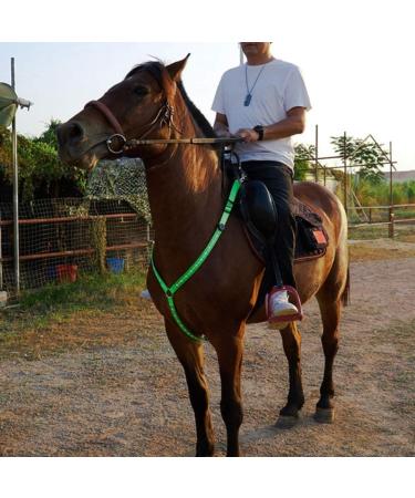 Kenyaw LED Horse Harness | Robust Chest Strap for Comfort & Safety | Best Visibility for Riding - Buy Online on SooperMarket.com