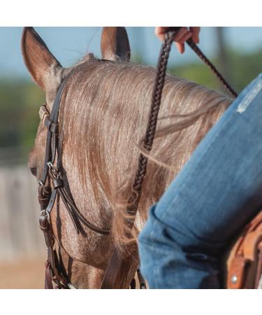 Martin Saddlery Latigo Braided 5-Strand Roping Rein - 3/4 Thick with Buckle Snap Ends - Buy Online on SooperMarket.com