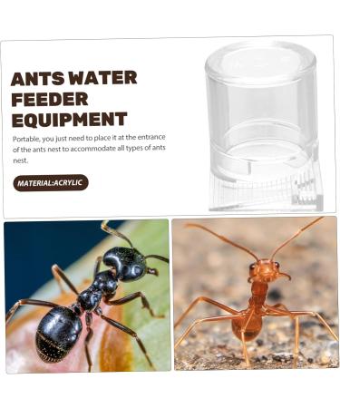FOMIYES Pet Water Feeder Ant Nest Feeder Ant Nest Water Cup Ant Keeper Tools Climbing Pet Water Dispenser - Buy Online on SooperMarket.com