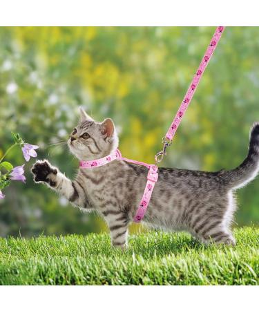 Adjustable Nylon Cat Leash Set - 2 Pieces with Lady Beetle Print & Soft Cat Dishes for Kittens Puppies & Rabbits - Pink & Blue - Buy Online on SooperMarket.com