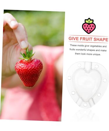 Gogogmee 5pcs Fruit Shaping Mold Plastic Fruit Cucumber Shaping Tool Vegetable Shaping Tool Garden Tools - Buy Online on SooperMarket.com