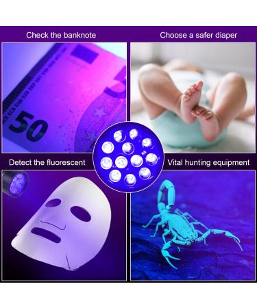 BeinHome UV Flashlight Black Light - 5 Pack UV Lamps with 12 LEDs 395nm Pet Urine Detector for Dog and Cat - Includes 15 AAA Batteries - Buy Online on SooperMarket.com