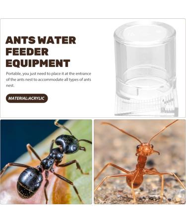 SEWOART Pet Water Feeder Ant Feeder Ant Watering Station Ant Water Feeder Ant Waterer Plastic Transparent - Buy Online on SooperMarket.com
