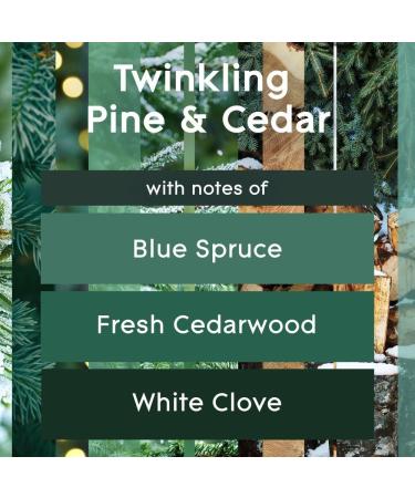 Glade PlugIns Air Freshener Starter Kit Scented and Essential Oils for Home and Bathroom Twinkling Pine & Cedar 1 Warmer and 1 Refill Pine Wonderland - Buy Online on SooperMarket.com
