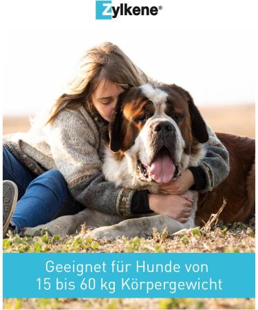 Buy Zylkene 450mg for Dogs & Cats - 50 Capsules | Calming Supplement for Stress Relief - International Shipping Available - Buy Online on SooperMarket.com
