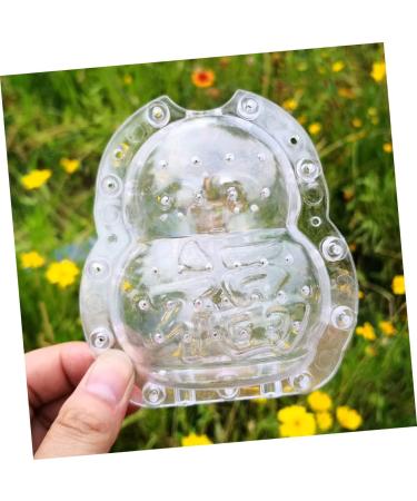 Anneome 2pcs Vegetable Shaping Mold Fruit Cucumber Shaping Molds Adorable Melon Mold Watermelon Pumpkin - Buy Online on SooperMarket.com
