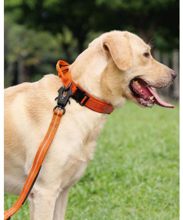 Joytale Tactical Dog Collar for Large Dogs | Durable Orange Dog Collar with Handle & QR Code Tag | Shop Now! - Buy Online on SooperMarket.com