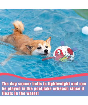 Hetoo Interactive Dog Toys | Durable Football with Gripping Bottles | Perfect for Small & Medium Breeds | Water Toys for Indoor & Outdoor Play - Large Size 3 Angry-Chick - Buy Online on SooperMarket.com