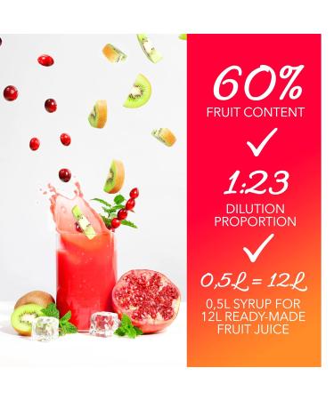 Light Holunder-Lime-Mint Fitness Syrup | Sugar-Free | 60% Fruit Content with Stevia | 500ml | Fruttamax Beverage Syrup for International Shipping - Buy Online on SooperMarket.com