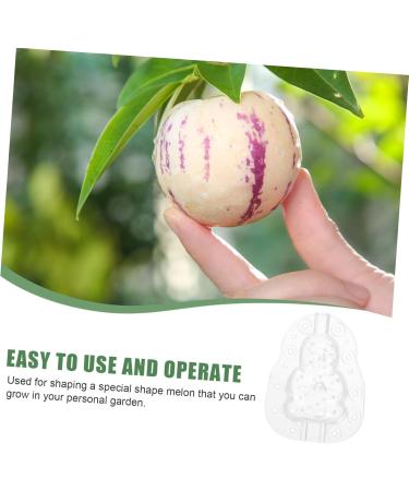 Milisten Gardening Tools 6 pcs Watermelon Mould Tools Clear Supplies Growing Garden Vegetable Multifunction Moldvegetable Transparentx2pcs 9x8cmx2pcs - Buy Online on SooperMarket.com