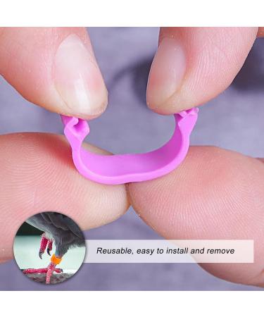 100 Bird Identification Rings - Pigeon Footrings Parrot Leg Bands & Poultry Marking Tape - 8mm Clamping Rings for Chickens Quail & More - Buy Online on SooperMarket.com
