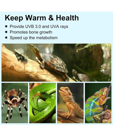 Buy Pewingo Turtle Heat Lamp - UVB Basking Spot Lights for Reptiles | 360 Swivel Clamp | Halogen & Orange Light | Ideal for Turtles Snakes & Lizards - Buy Online on SooperMarket.com