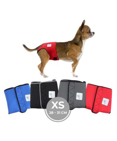 Sailing trousers for bitches 2.0 - dog diapers made of high -quality perforated neoprene for an optimal air exchange - dog diapers for male without the annoying threading of the rod (XS -Rot) XS red
