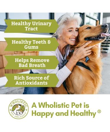 Wholistic Pet Organics WholeCran Intense - Organic Dog Cranberry Powder for UTI and Kidney Health - 2 Oz - Buy Online on SooperMarket.com