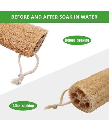 Organic Natural Bath Loofahs 6 Pack for Men and Women - Exfoliating Body Scrubber Sponges for Deep Cleaning - Includes 2 Wall Hooks - Buy Online on SooperMarket.com