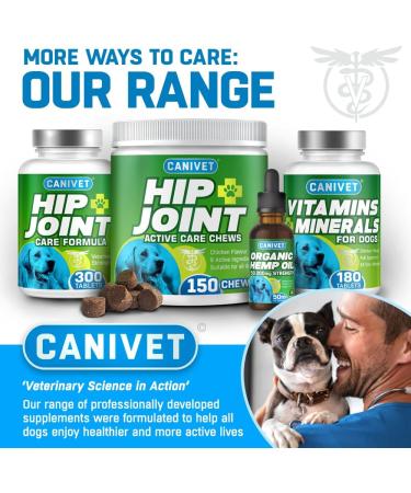 CANIVET Probiotics for Dogs. Canine Dietary Supplement - Aids Digestive Health 100g Powder Dog Probiotic. 5 Billion CFU** with 10 Strains of Good Bacteria for your Dog's Digestive Health. 100 g (Pack of 1) - Buy Online on SooperMarket.com
